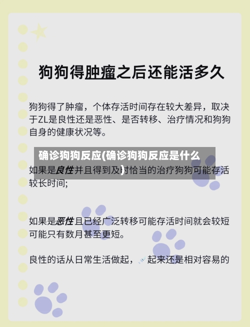 确诊狗狗反应(确诊狗狗反应是什么)