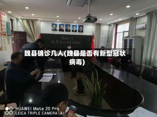 魏县确诊几人(魏县是否有新型冠状病毒)-第2张图片