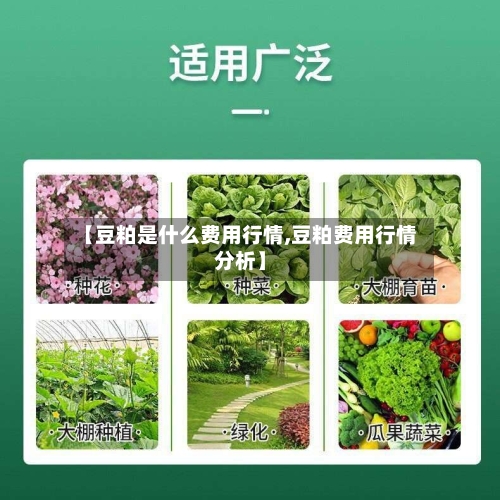 【豆粕是什么费用行情,豆粕费用行情分析】-第2张图片