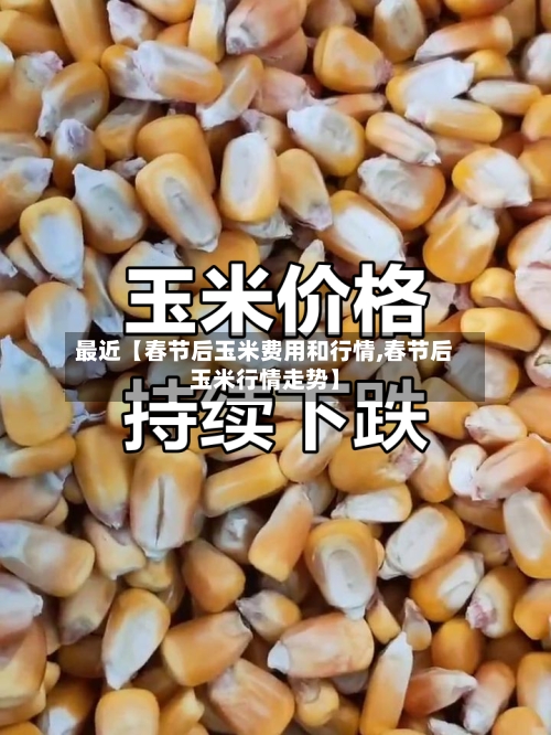 最近【春节后玉米费用和行情,春节后玉米行情走势】-第2张图片