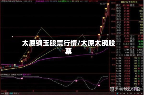 太原钢玉股票行情/太原太钢股票