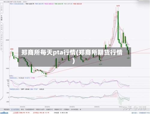 郑商所每天pta行情(郑商所期货行情)